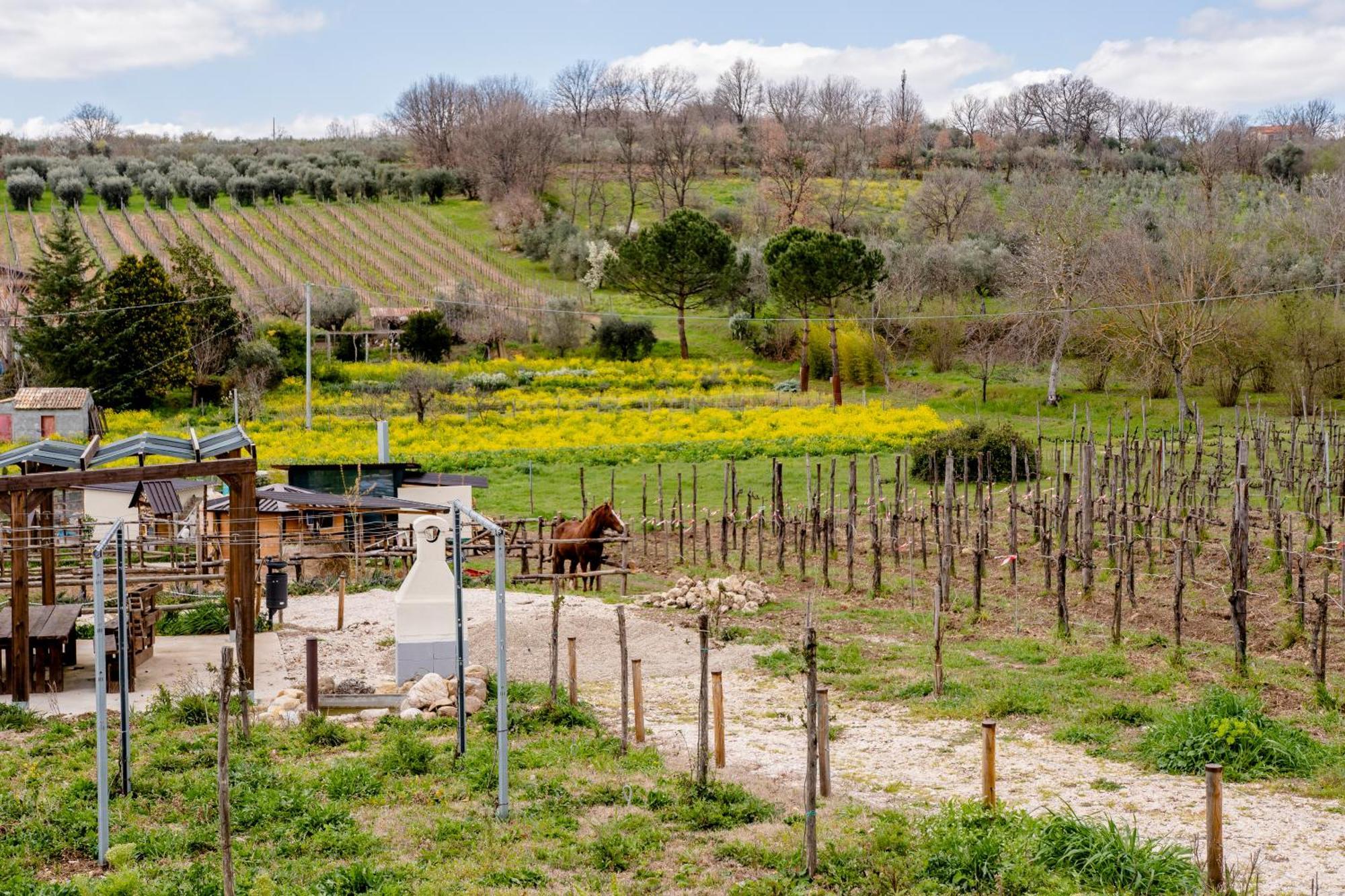Il Poggio Degli Antichi Sapori Vila Paternopoli Exterior foto